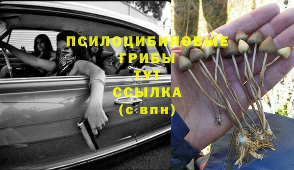 сатива Абаза