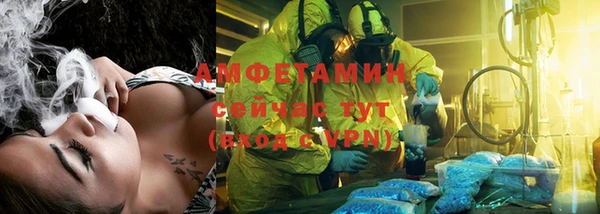 сатива Абаза