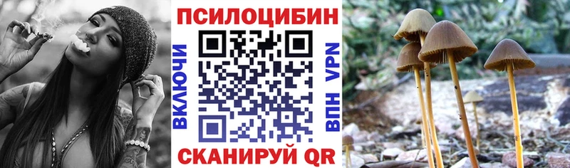 цены   Черноголовка  Псилоцибиновые грибы Magic Shrooms 